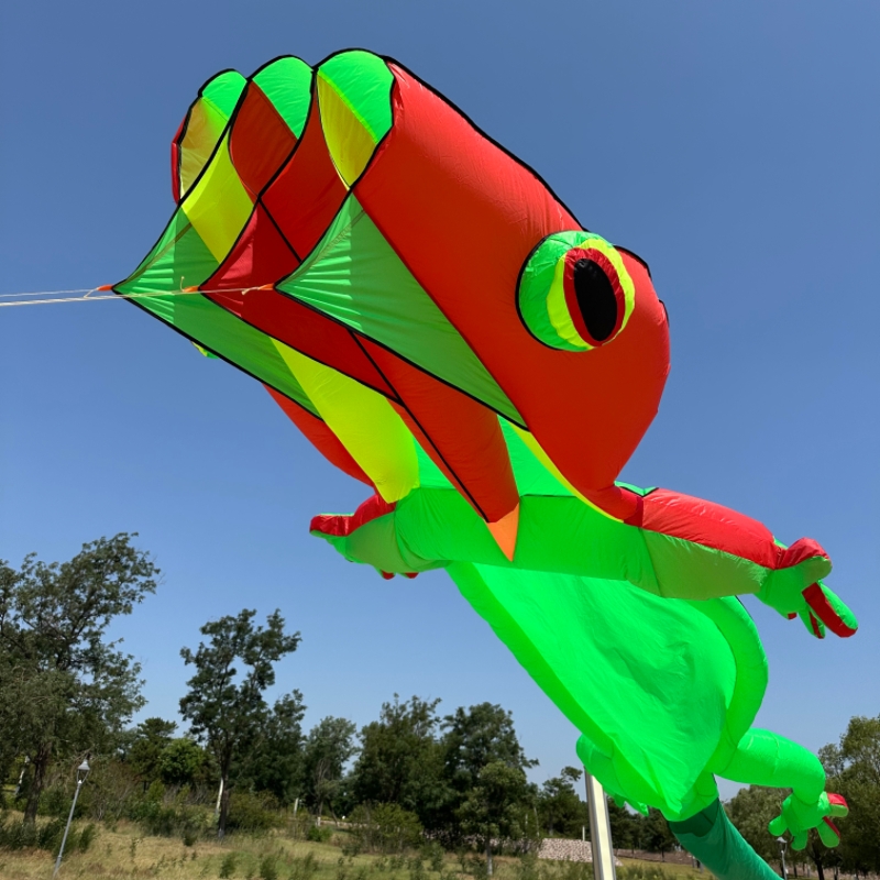 Outdoor Sport An - Globo Inflable Gigante de Gecko de