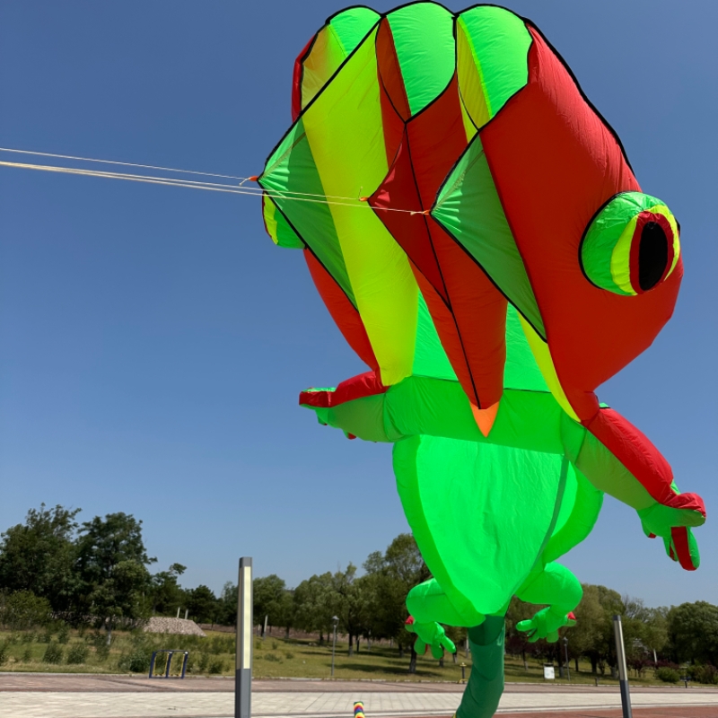 Globo Inflable Gigante de Geck - Outdoor Sport An reseña y precio