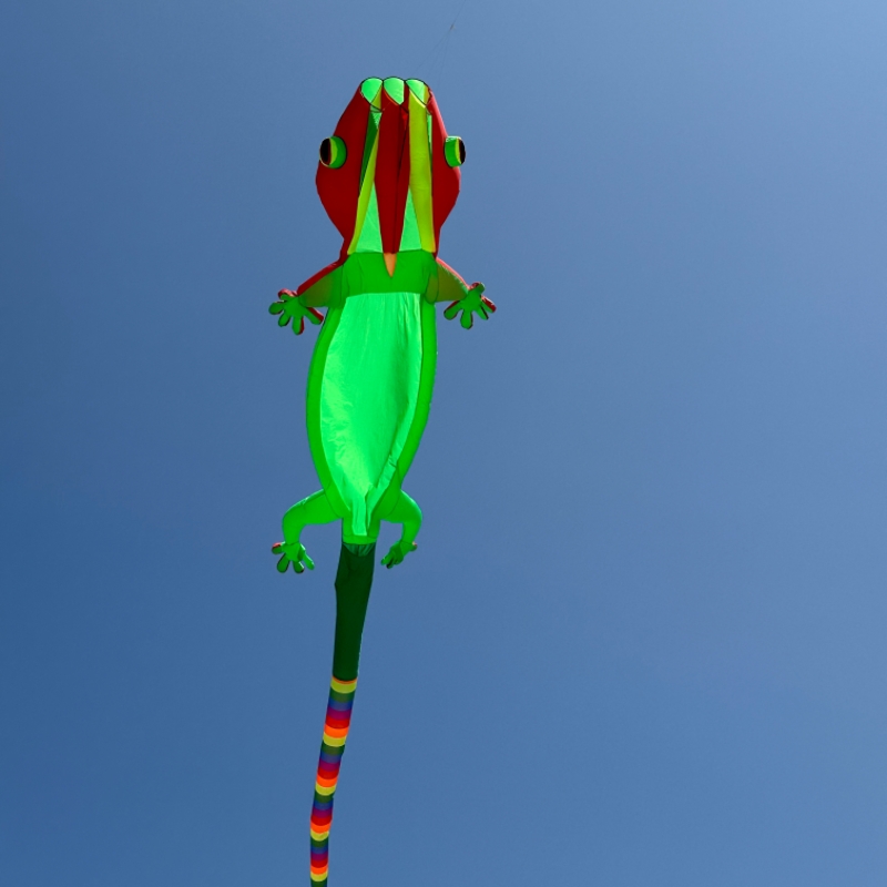 Globo Inflable Gigante de Geck - Outdoor Sport An reseña y precio